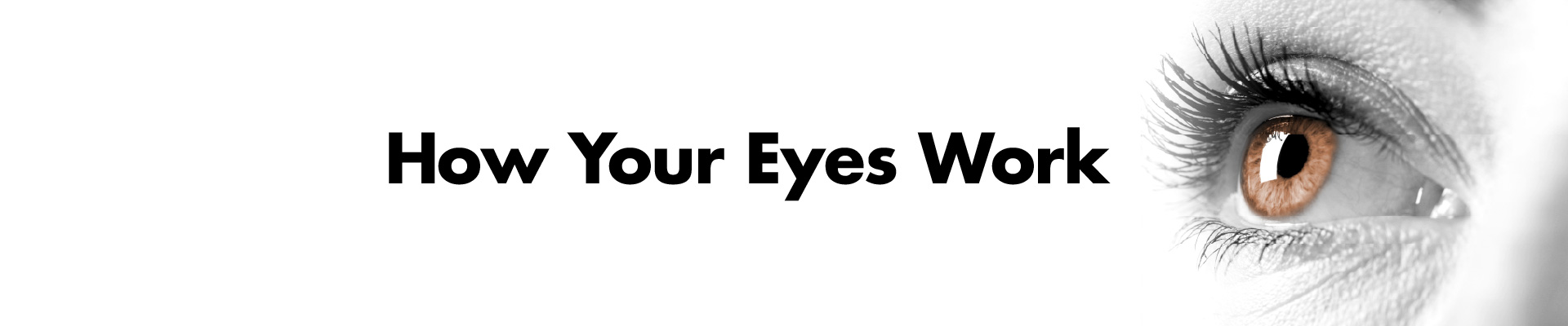 how your eyes work banner